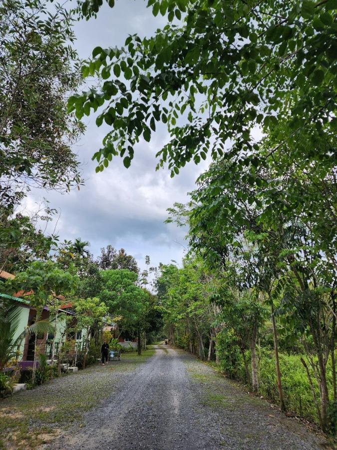 Suankafae Resort สวนกาแฟรีสอร์ท سوراثاني المظهر الخارجي الصورة