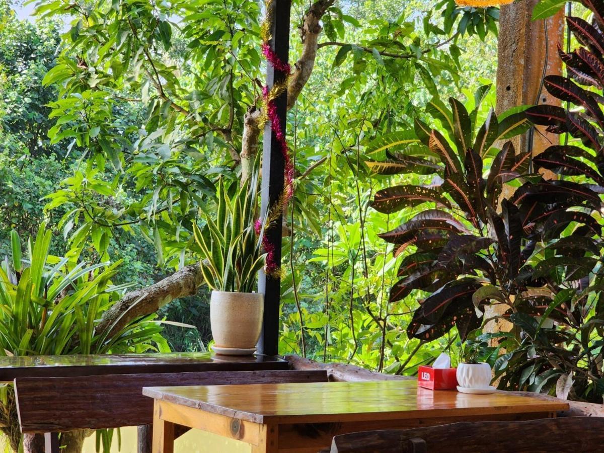 Suankafae Resort สวนกาแฟรีสอร์ท سوراثاني المظهر الخارجي الصورة