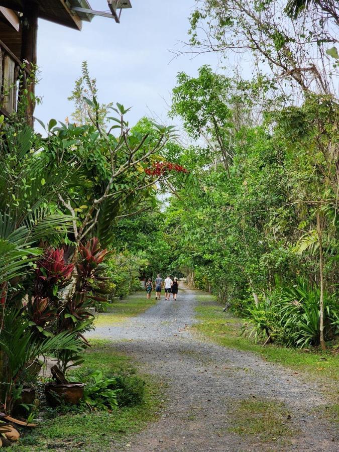 Suankafae Resort สวนกาแฟรีสอร์ท سوراثاني المظهر الخارجي الصورة