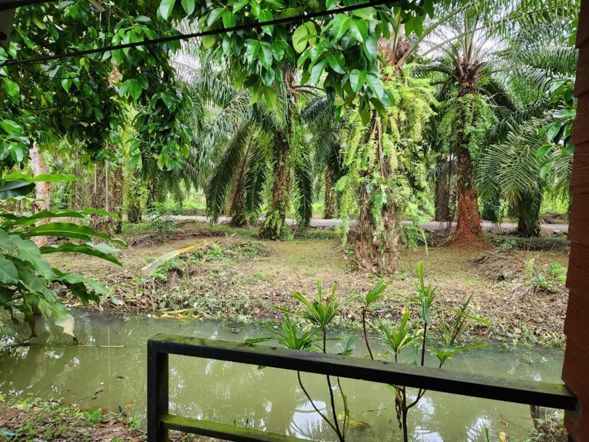 Suankafae Resort สวนกาแฟรีสอร์ท سوراثاني المظهر الخارجي الصورة